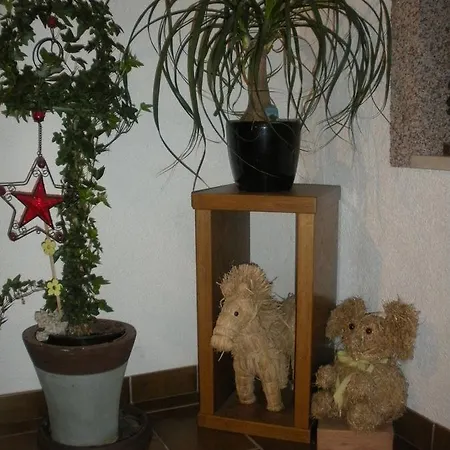 Alloggio in famiglia Haus Margit *