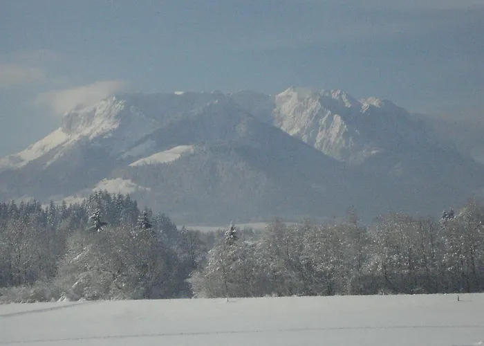 玛吉特民宿 Kössen